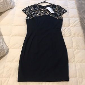 NWT French Connection dress. Size 6